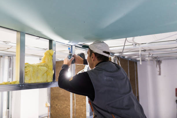 Best Blown-in Insulation  in Sandia Heights, NM