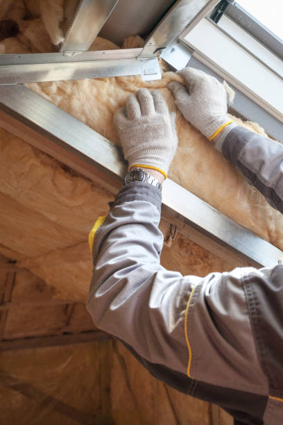 Professional Insulation Contractor in Sandia Heights, NM