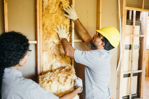 Best Blown-in Insulation  in Sandia Heights, NM